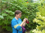 FZ007357 Jenni photographing butterfly.jpg